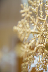 Similar image 21809819