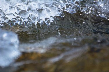 Similar image 21809824