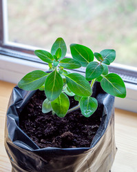 Similar image 21809131