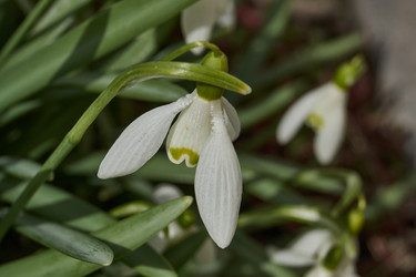 Similar image 21809371