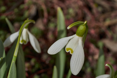 Similar image 21809372