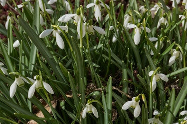 Similar image 21809374