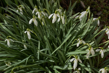 Similar image 21809375