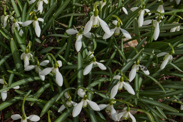 Similar image 21809376