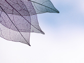 Similar image 21809378