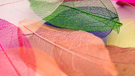 Similar image 21809379