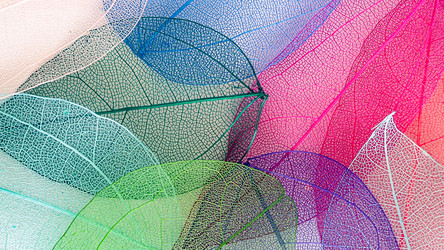 Similar image 21809380