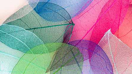 Similar image 21809381