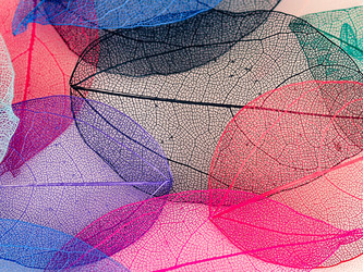 Similar image 21809382