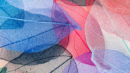 Similar image 21809383