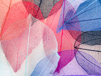 Similar image 21809384