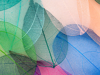 Similar image 21809385