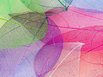 Similar image 21809386