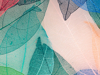 Similar image 21809387