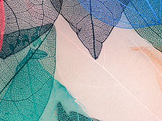 Similar image 21809388