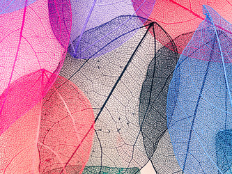 Similar image 21809389