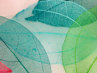 Similar image 21809390