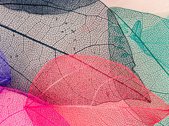 Similar image 21809392