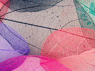 Similar image 21809393