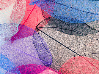 Similar image 21809394