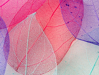 Similar image 21809396