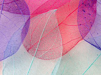 Similar image 21809397