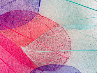 Similar image 21809398