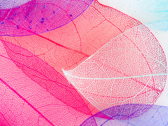 Similar image 21809399