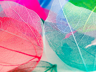 Similar image 21809400