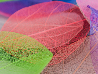 Similar image 21809401