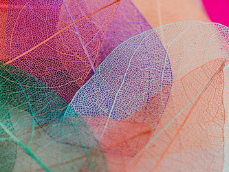 Similar image 21809402