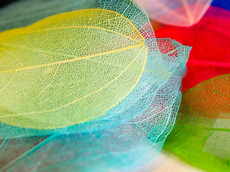 Similar image 21809403