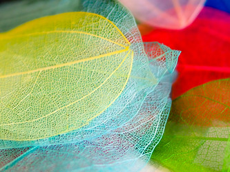 Similar image 21809404