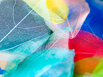 Similar image 21809405