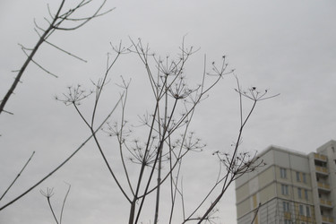 Similar image 21809182