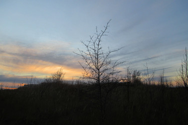 Similar image 21809183