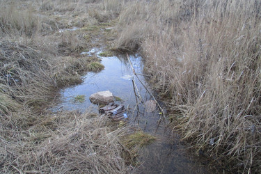 Similar image 21809828