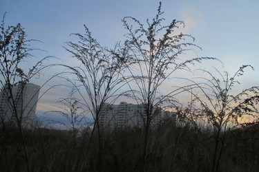 Similar image 21809184