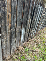 Similar image 21810773