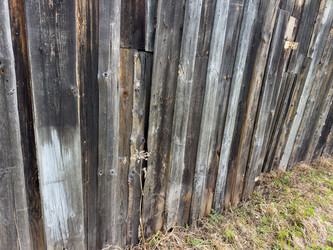 Similar image 21809419