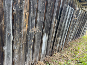 Similar image 21809420