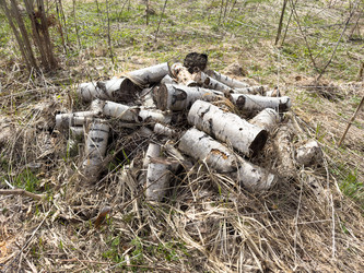 Similar image 21811492