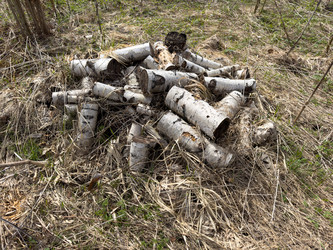 Similar image 21811493