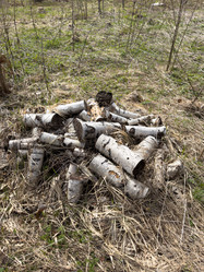 Similar image 21811495