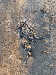 Similar image 21812209