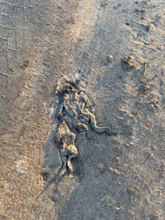 Similar image 21812210