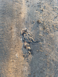 Similar image 21812211