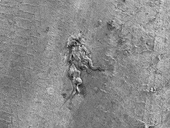 Similar image 21812212