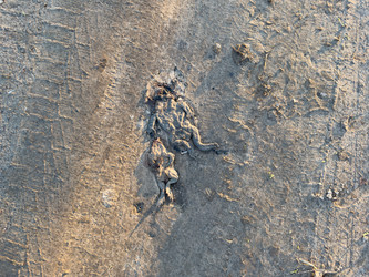 Similar image 21812213