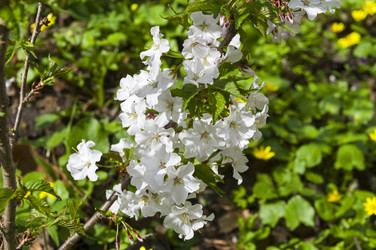 Similar image 21809212